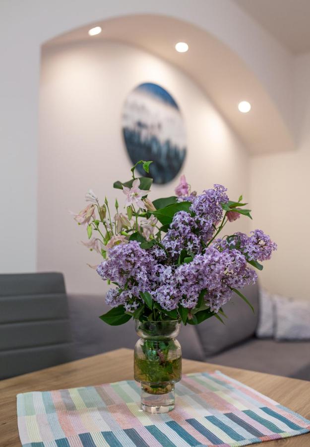 Apartament przy Parku - B&B Duszniki-Zdrój
