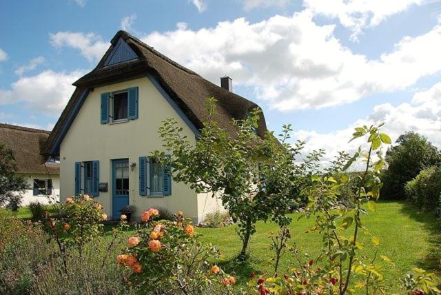 Lavendel - B&B