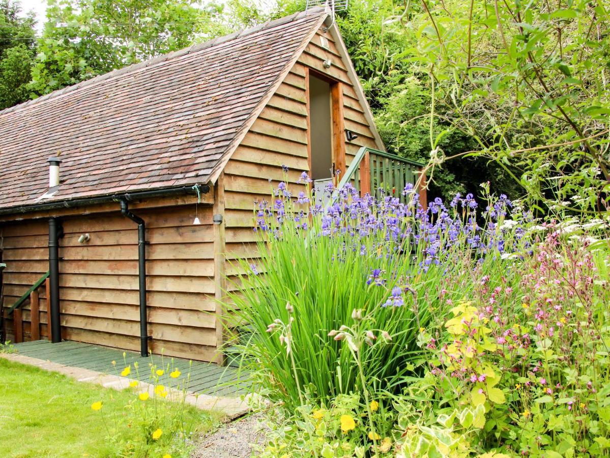 B&B Craven Arms - Milford Tree Tops - Bed and Breakfast Craven Arms