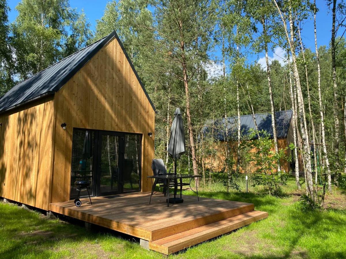 Ostoja Orżyny, Dom nr 2 - Zielono mi - B&B Dźwierzuty