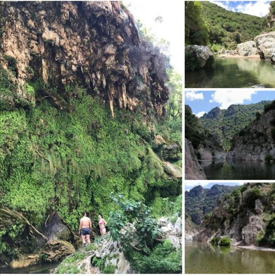 FERULA romantica mansarda tra fiumi e montagne Sardegna - Chambres d’hôtes