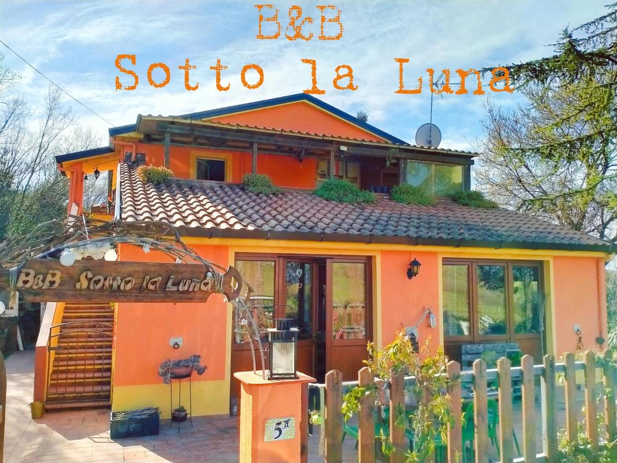 B&B Sotto la Luna - B&B Agugliano