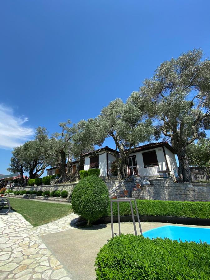 B&B Ulcinj - Hilja's Oliven Garden Bungalows - Bed and Breakfast Ulcinj