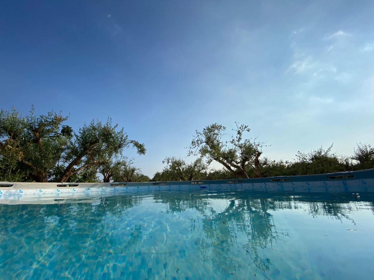 Uliveto Nonno Giacomo - B&B