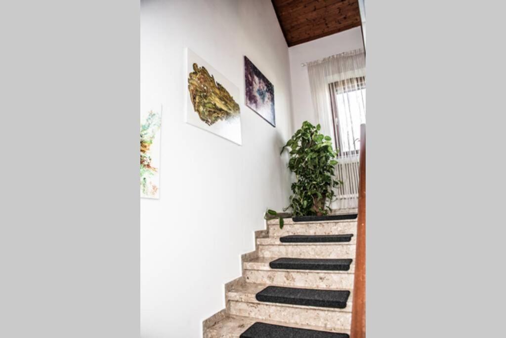 Apartment PourinGraz für Kunst- und Tennisliebhaber - B&B Graz
