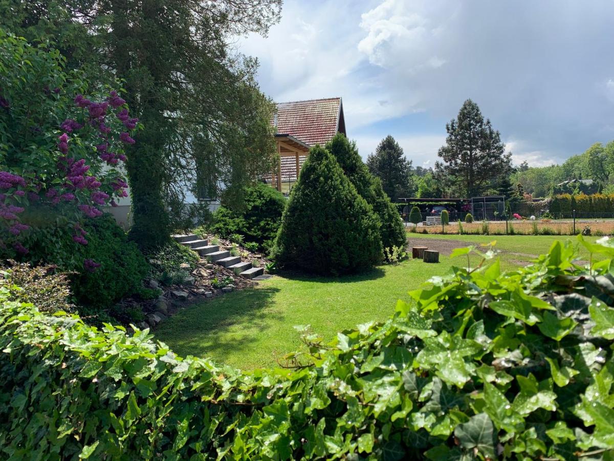 N 39 Premium - prywatne SPA, kominek, las, pod Zamkiem w Mosznej - Bed and Breakfast Mszana