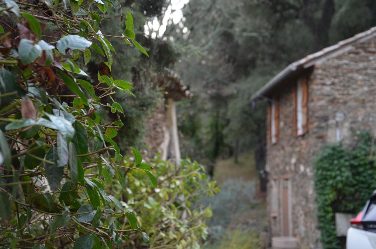 B&B Collobrières - Gîte Almanda - Calme & Nature - Mas Lou Castanea - Bed and Breakfast Collobrières