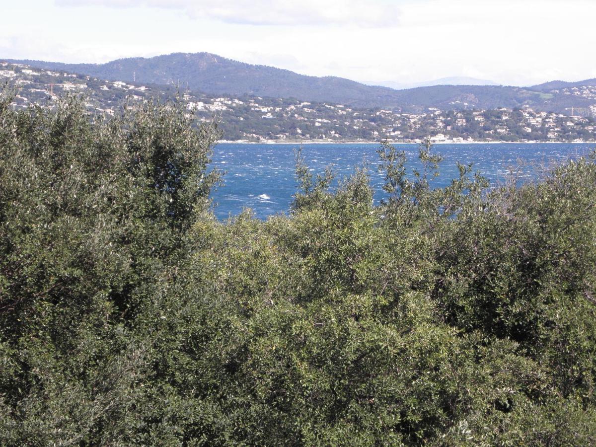 Double Room with Balcony and Sea View