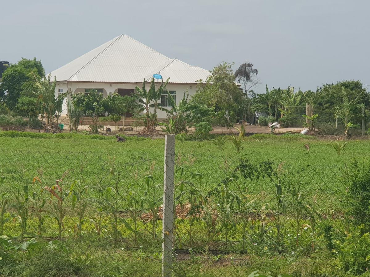 Paje Farm House - B&B