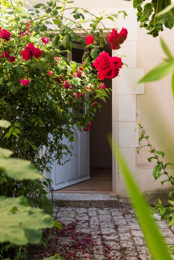 La Lirosane, 3 studios, 3,7km du Zoo, Centre-ville - B&B Saint-Aignan