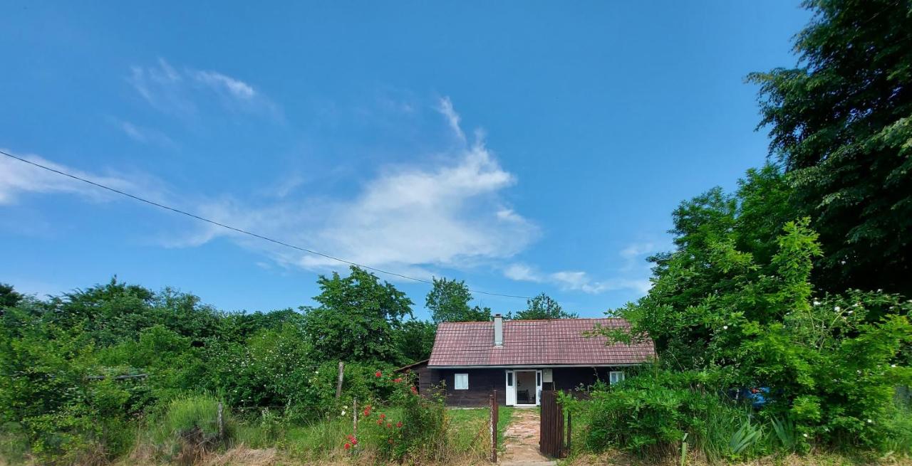 Dada House Nature Holiday - Bed and Breakfast Gornja Čemernica