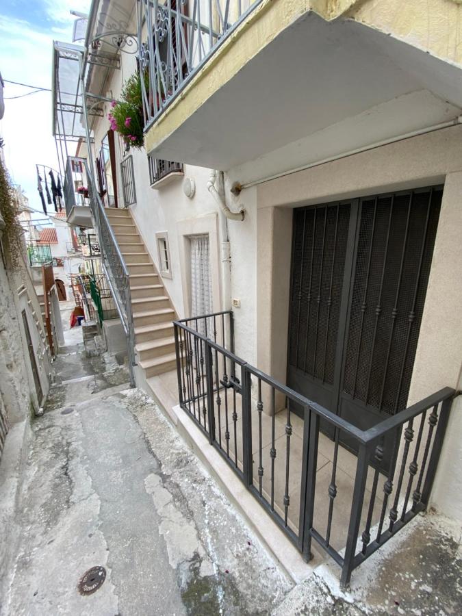 1931 Apartments - Mosto Selvatico - Gargano - Chambres d’hôtes