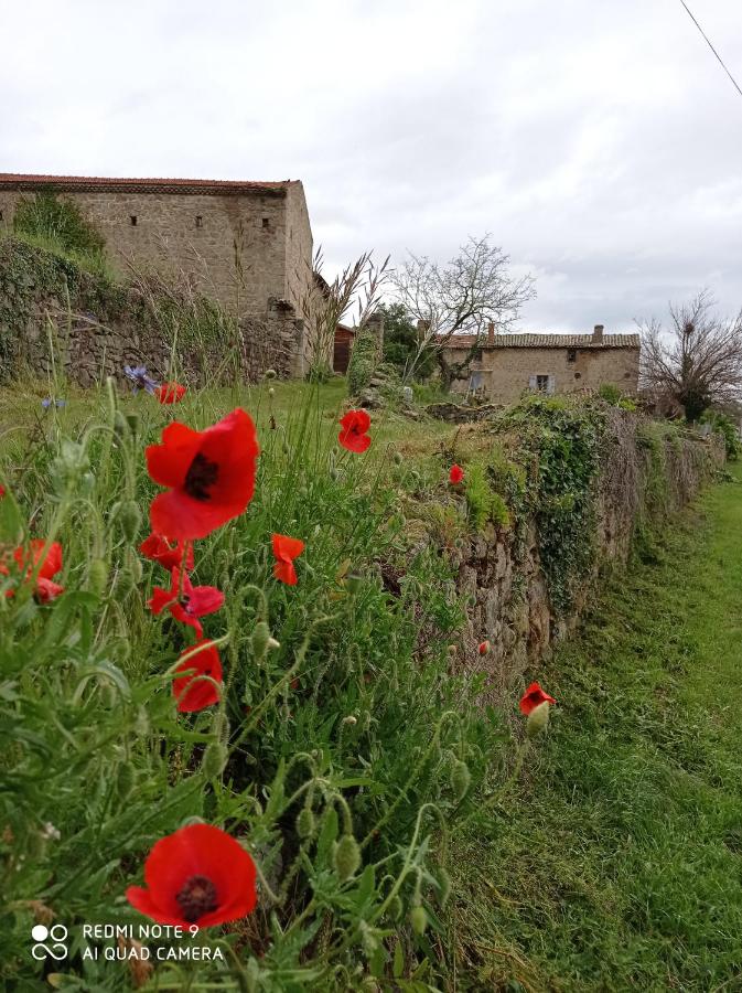 B&B Boulieu-lès-Annonay - la ferme de fenivou - Bed and Breakfast Boulieu-lès-Annonay