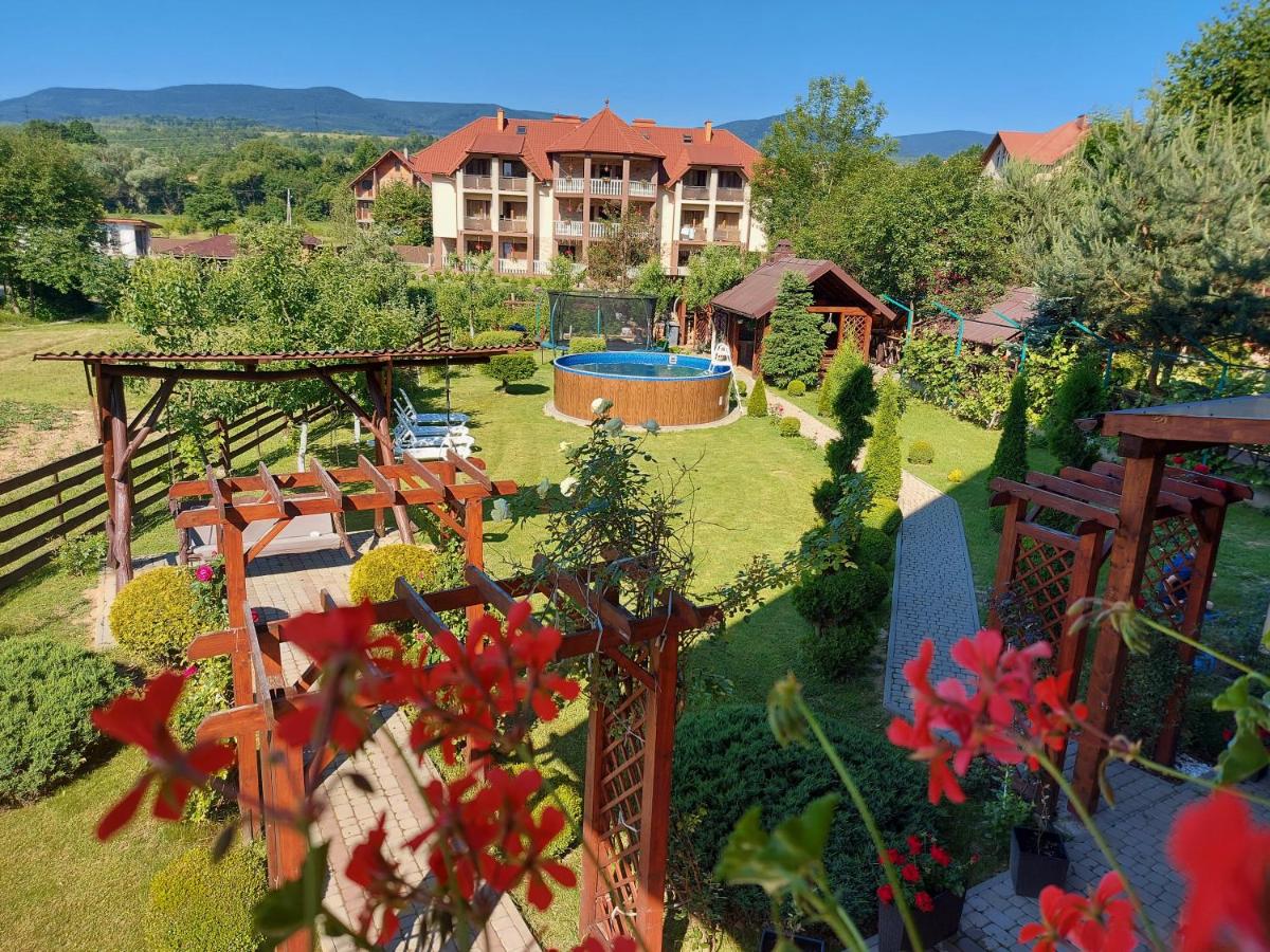 Veronika Domik - B&B Solochyn