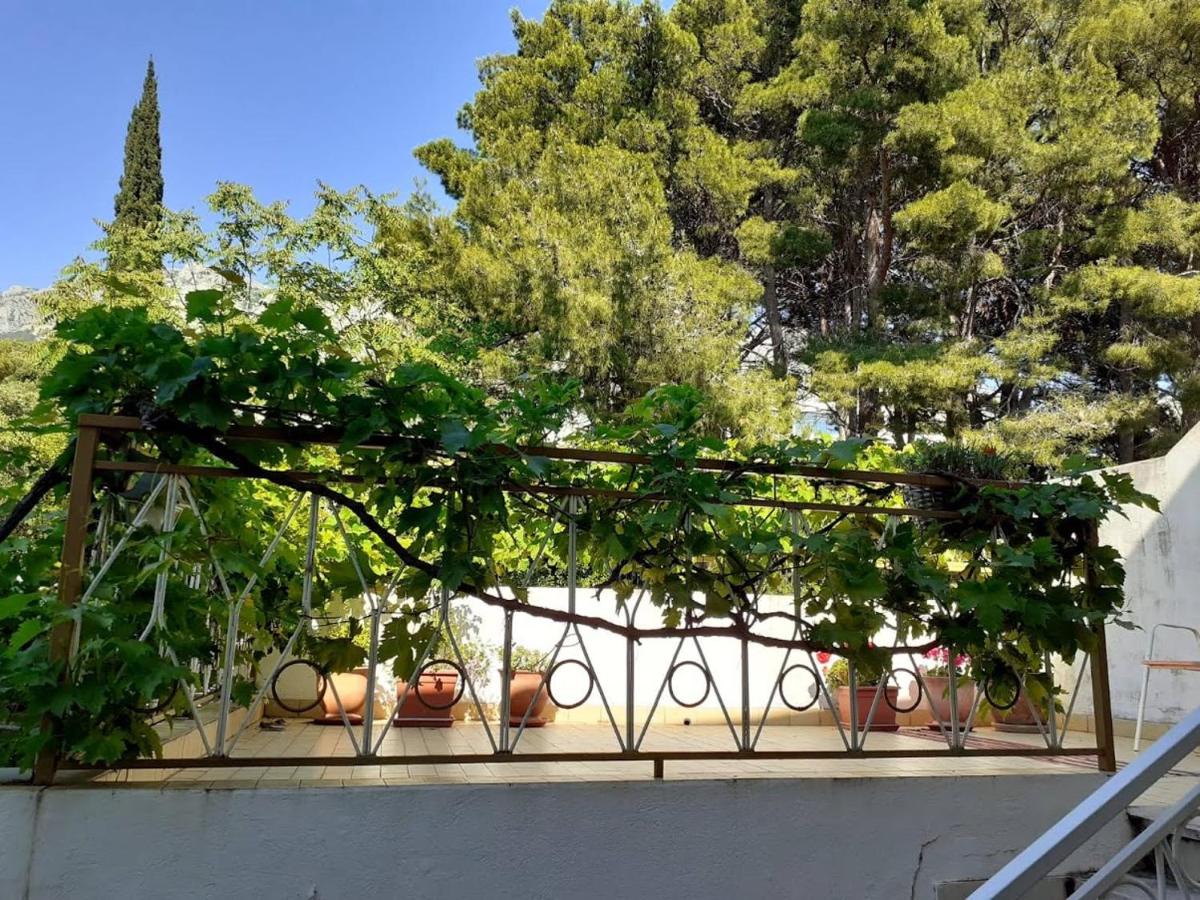 Palma Apartments - B&B Podgora