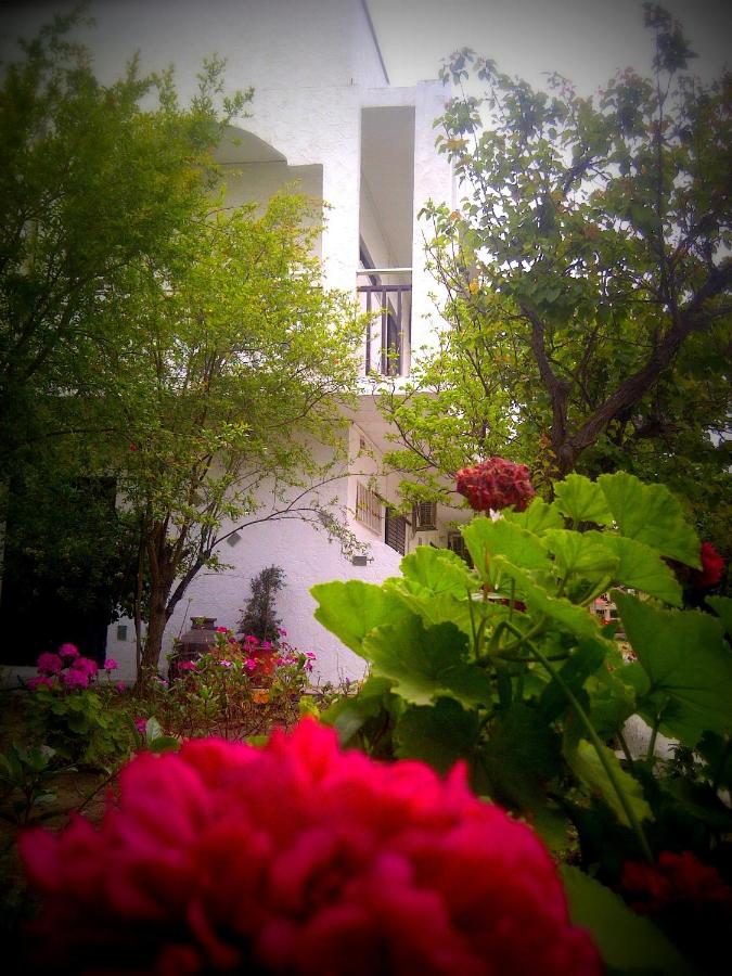Thalassa Studios - B&B Faliraki