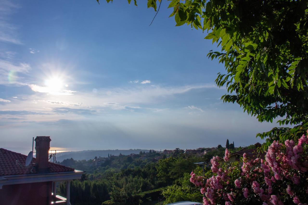 B&B Isola d'Istria - Seaview Heights above Portorož - Bed and Breakfast Isola d'Istria