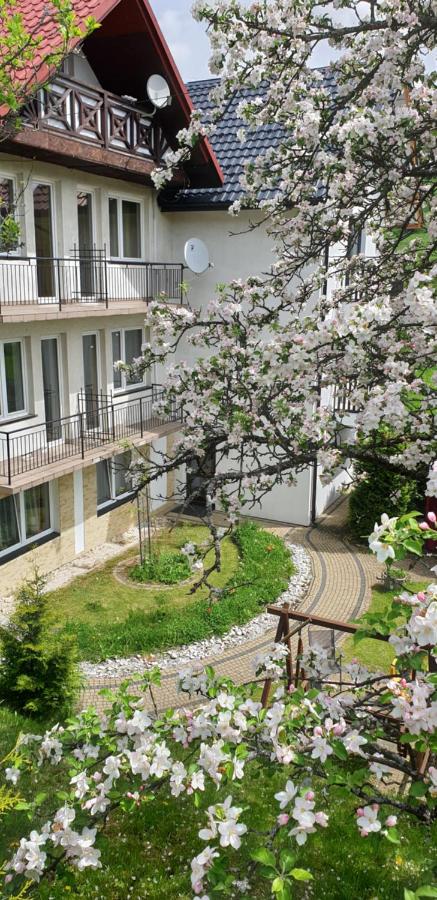 Szczawnica noclegi U Basi - B&B