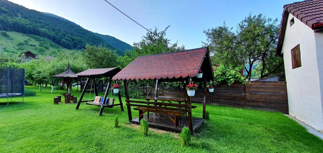 B&B Mărtinie - Casa Maria Transalpina - Bed and Breakfast Mărtinie