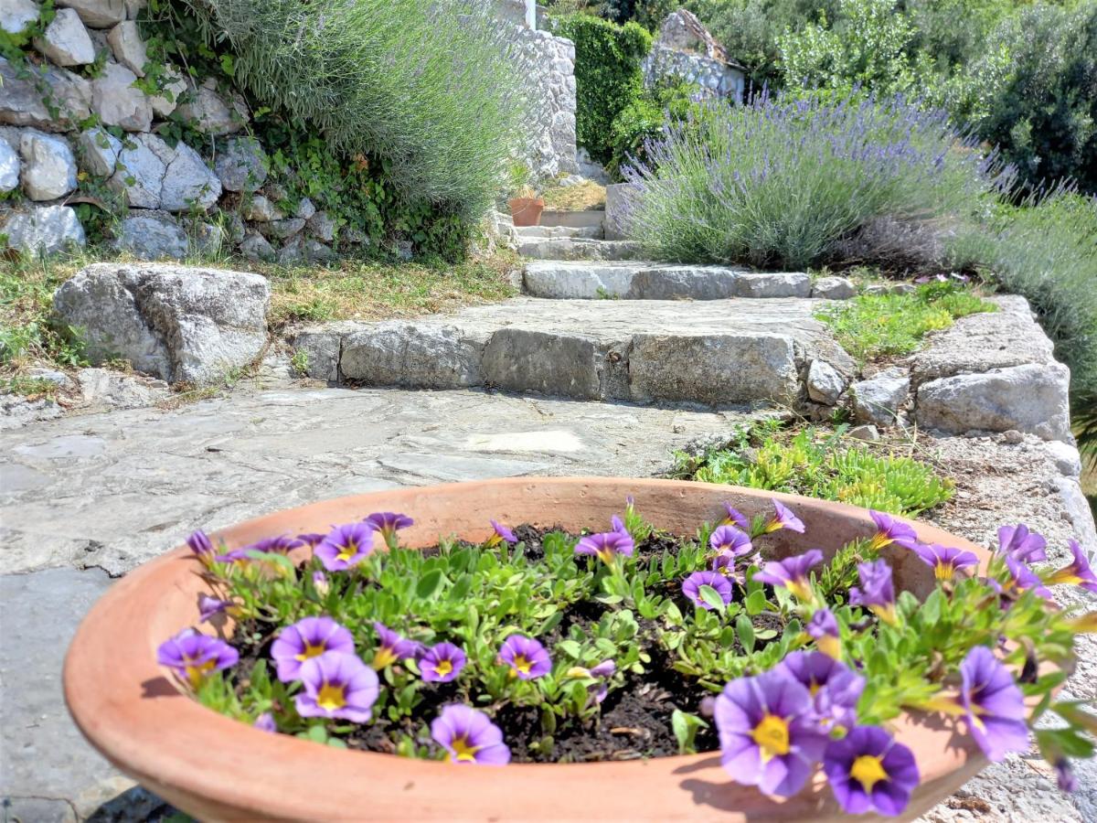 cascading villa nebbo dubrovnik - Chambres d’hôtes