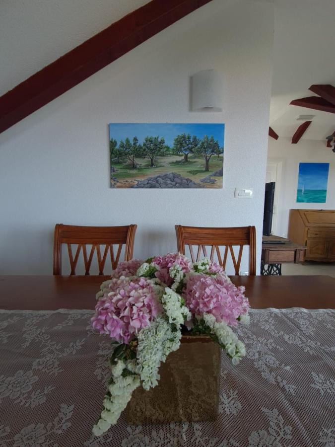 B&B Mali Drvenik - Sea view apartment on a small island - Bed and Breakfast Mali Drvenik