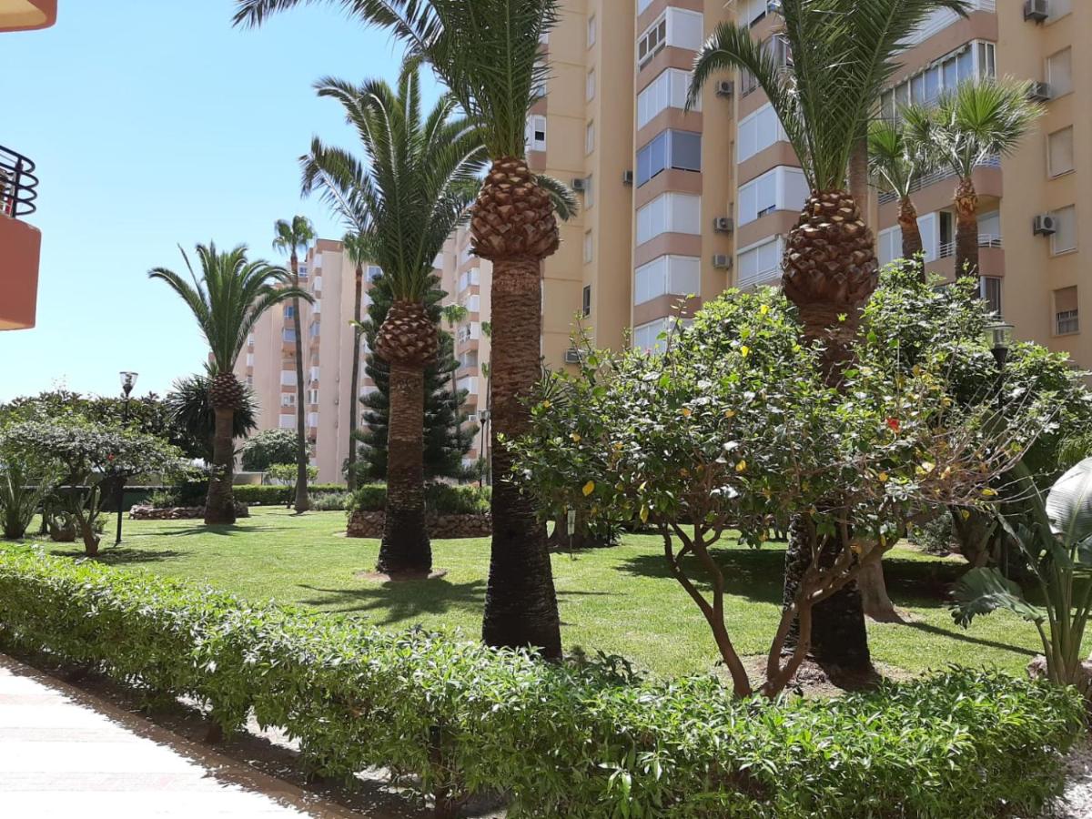 Studio La Concha direkt am Meer - Ferienwohnung
