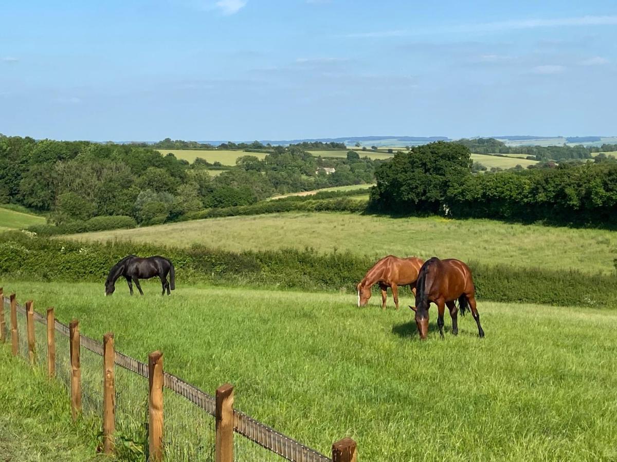 B&B Cheltenham - Glebe Barn, Little Glebe Farm - Bed and Breakfast Cheltenham