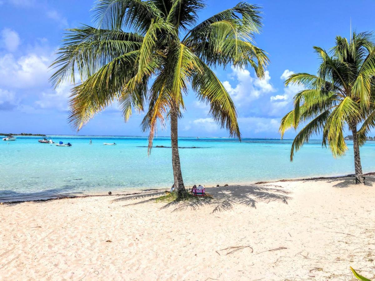 MOOREA - Tropical Soul - B&B Hauru