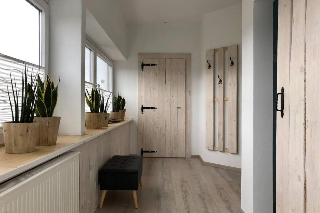 Ferienwohnung Birkenlodge - Ferienwohnung
