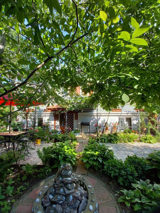 Casa de Vacanta Rodica - B&B