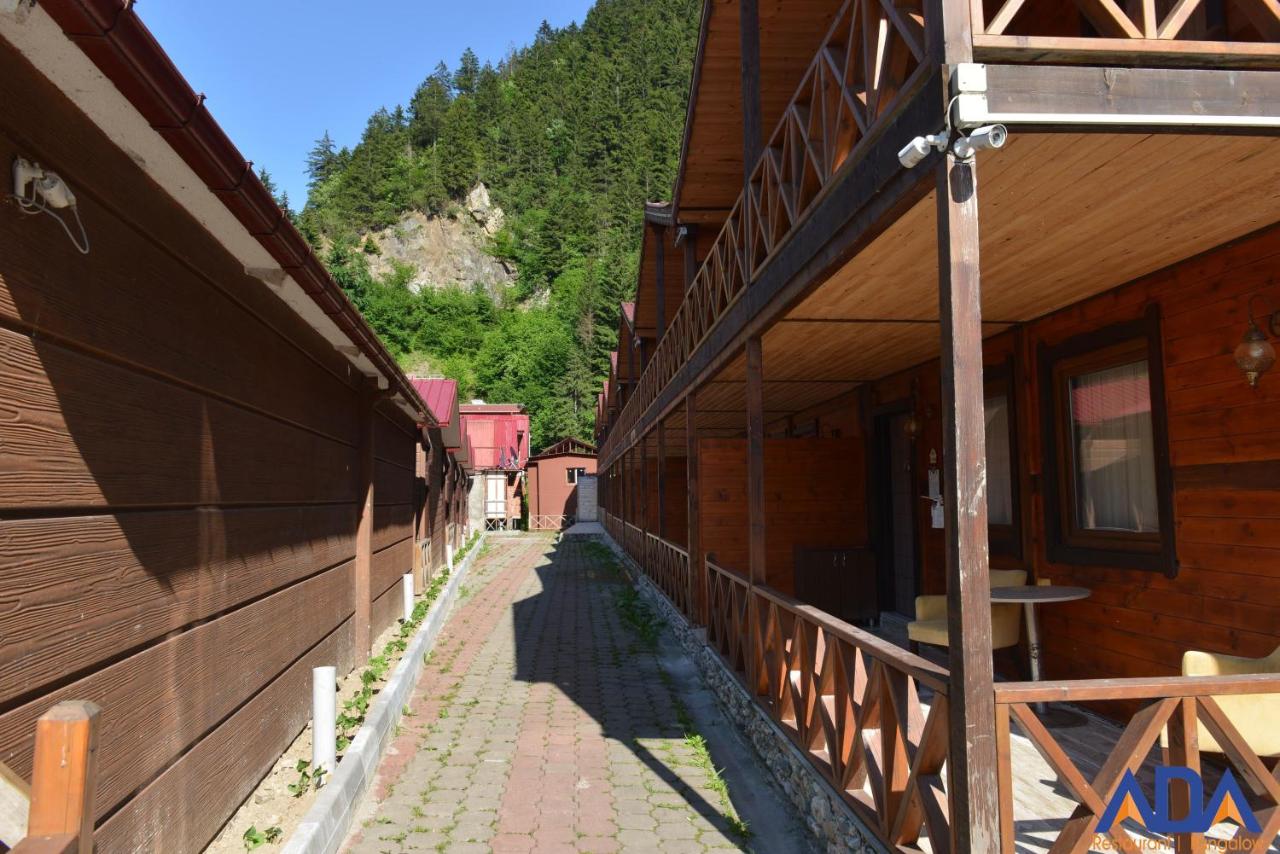 Uzungöl Bungalow - B&B Uzungöl