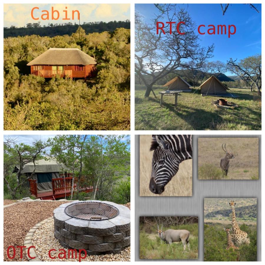 B&B Oos-Londen - Horseshoe Game Reserve - Bed and Breakfast Oos-Londen