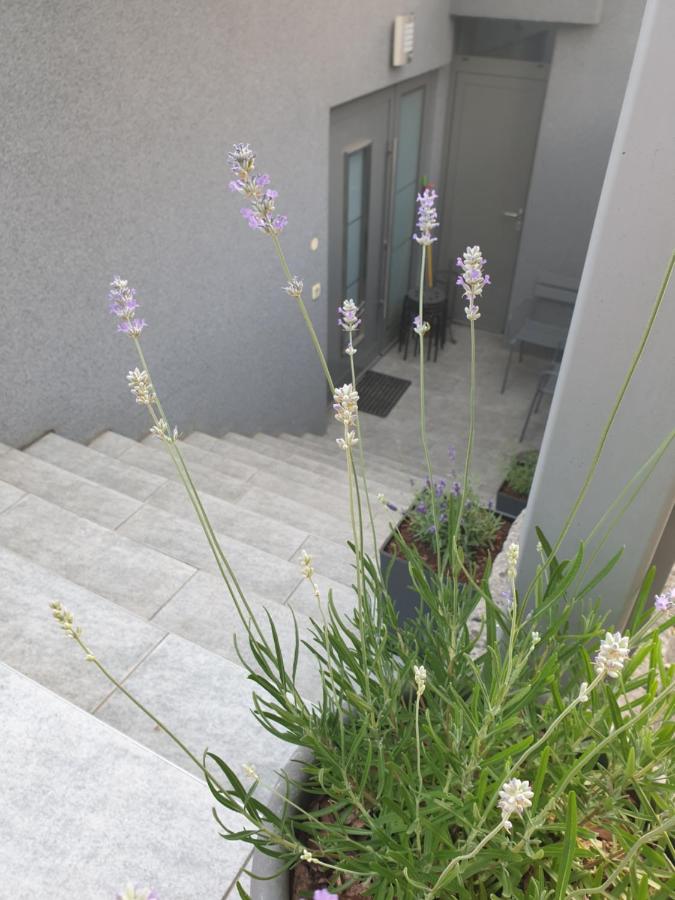Appartamento con 4 Camere da Letto