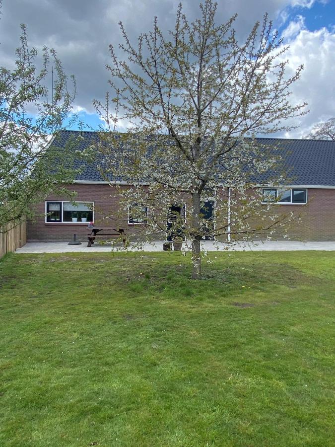 Veldzicht Brunsting - Ferienwohnung Beilen