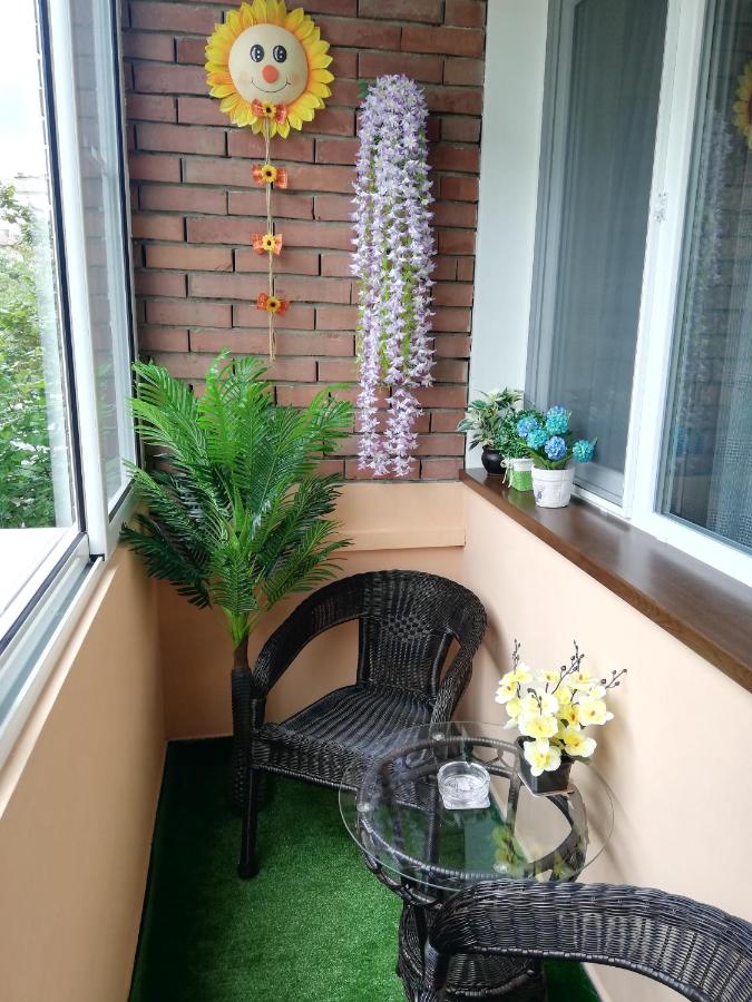 Apartment Ani - B&B