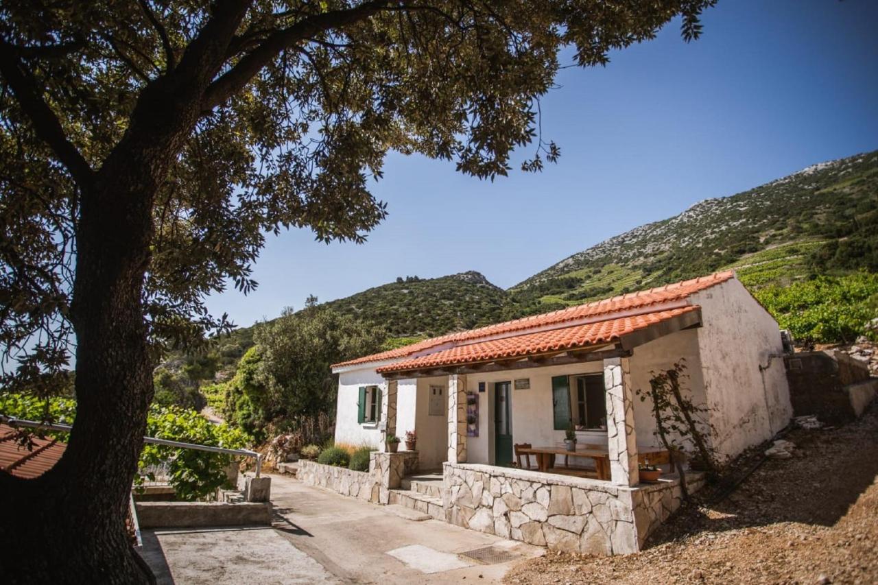 Holiday Home Potocinarka - B&B