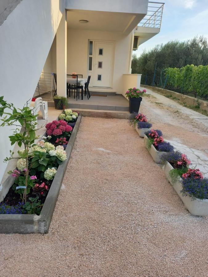 Apartmani Sara - Bed and Breakfast Bibinje