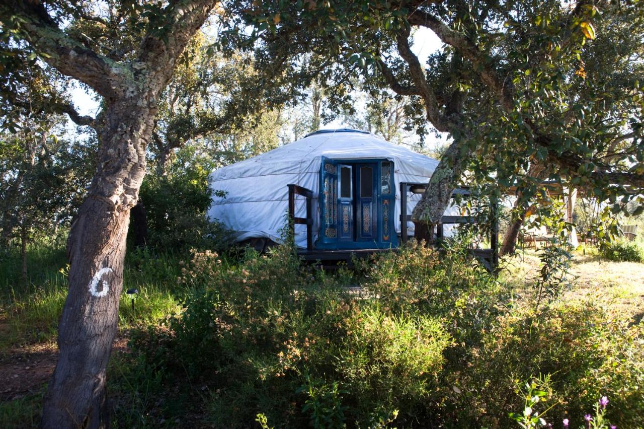 Yurt