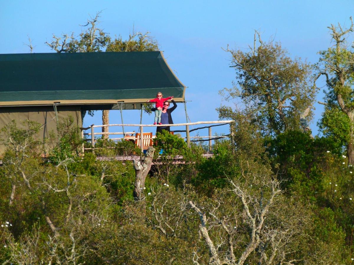 Safari Tent