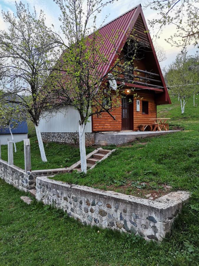 B&B Žabljak - Ethno Cottage Momo Tepca - Bed and Breakfast Žabljak