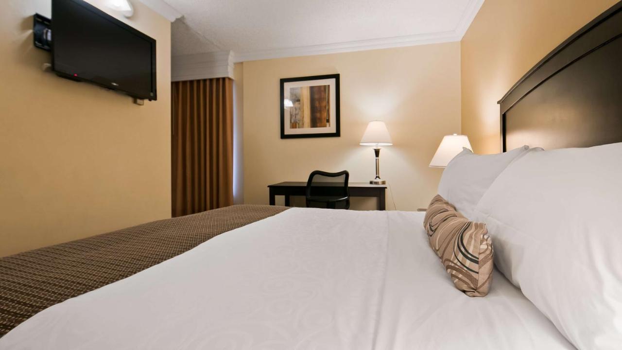 Suite met 1 Slaapkamer met Queensize Bed en Slaapbank - Rookvrij