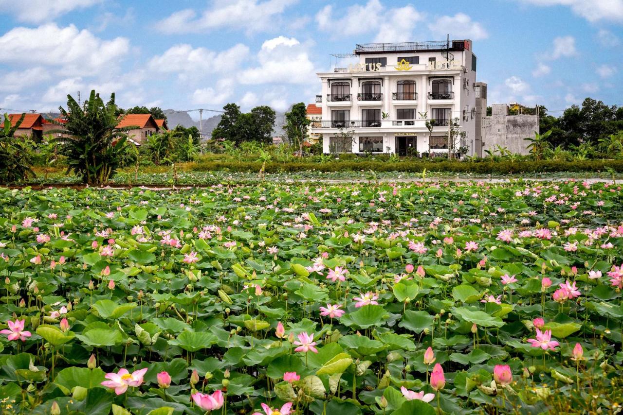 B&B Ninh Bình - Lotus Hotel Ninh Bình - Bed and Breakfast Ninh Bình