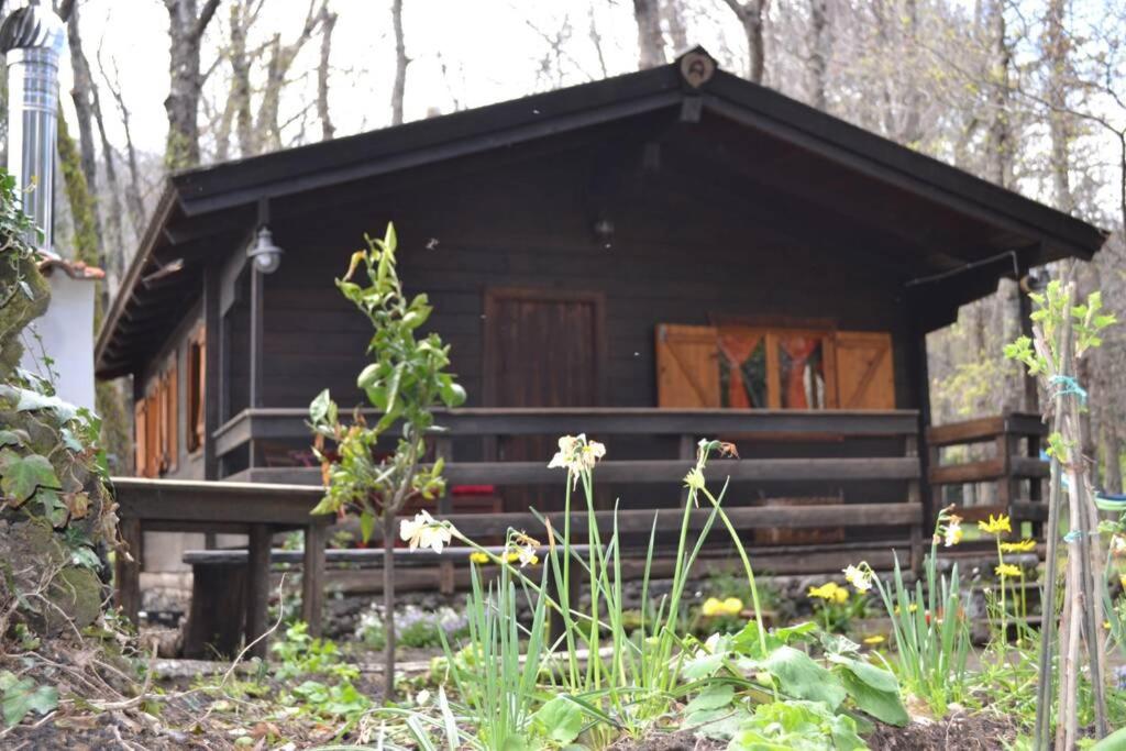 Intry Etna Chalet - B&B