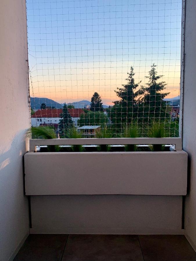 Appartement 509 - Ferienwohnung