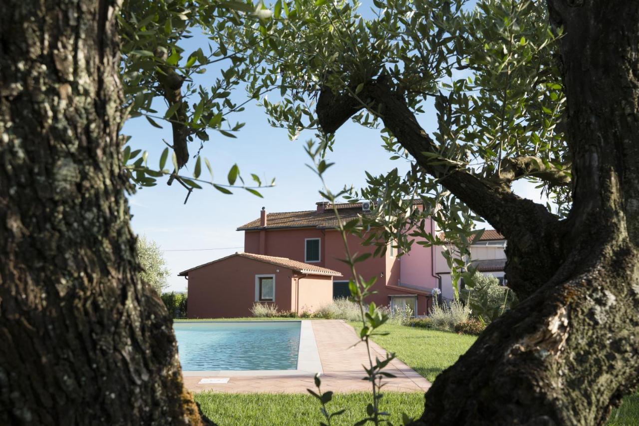 B&B Lamporecchio - PODERE IL QUADRO - Bed and Breakfast Lamporecchio