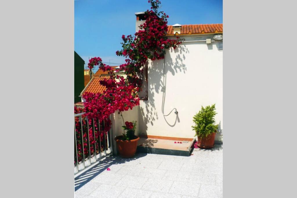 Casa Afonso Guesthouse - B&B Ferrel