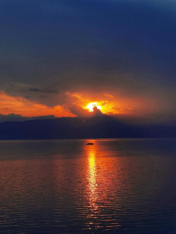 Appartamento Monolocale