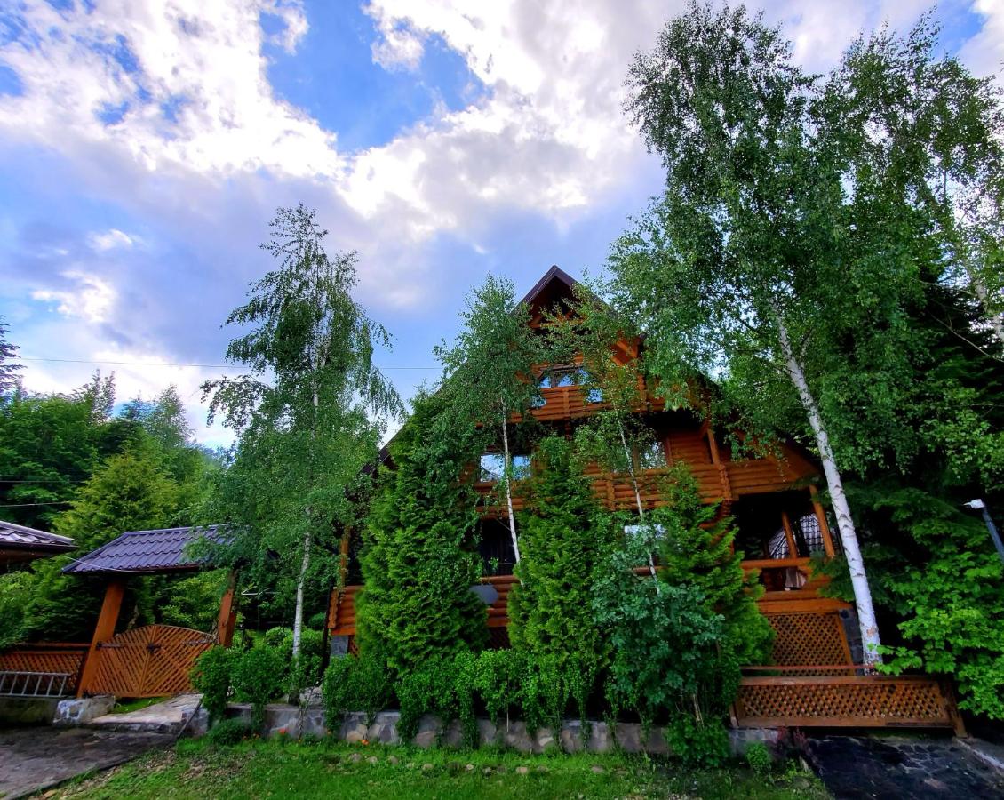 Gostynniy Dvir in Forest Коттеджи - B&B Myhove