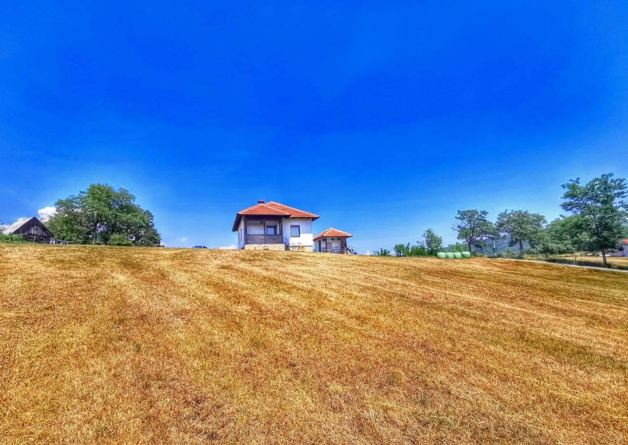 Vikendica Gradina Zlatibor - Chambres d’hôtes