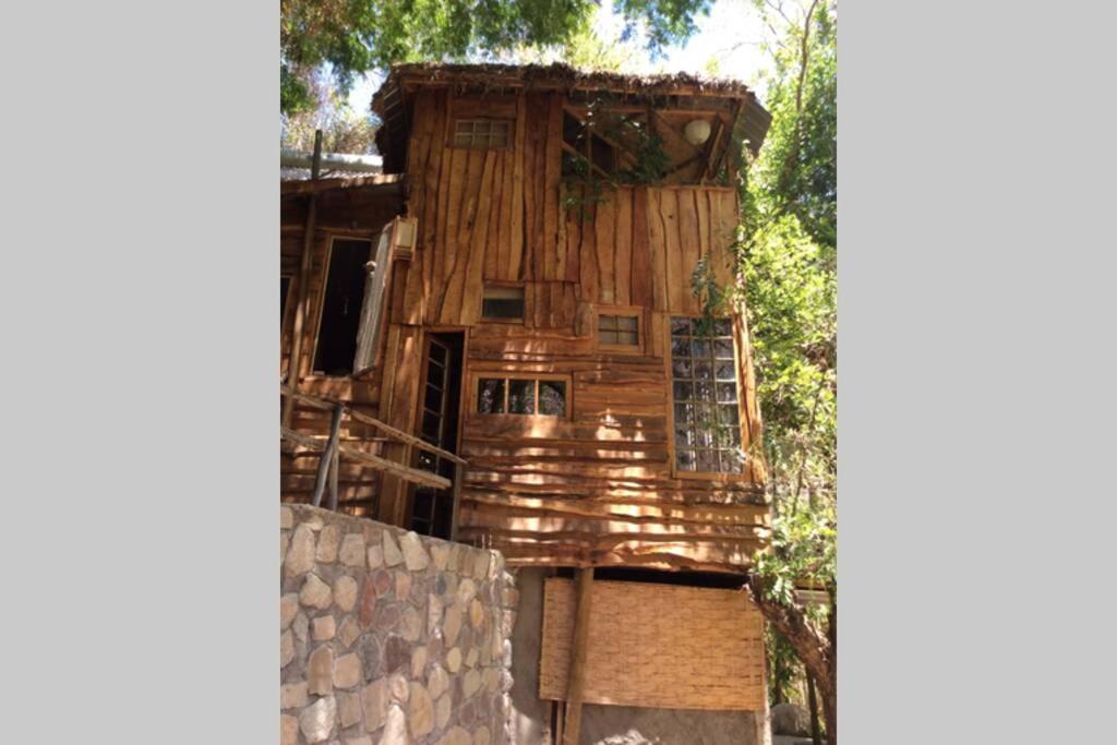 B&B Paiguano - La Casa entre los Árboles en el Valle de Elqui Montegrande - Bed and Breakfast Paiguano